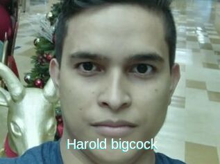 Harold_bigcock