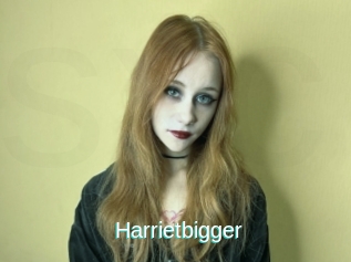 Harrietbigger