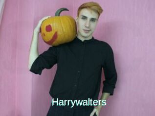Harrywalters
