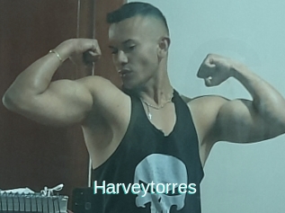 Harveytorres