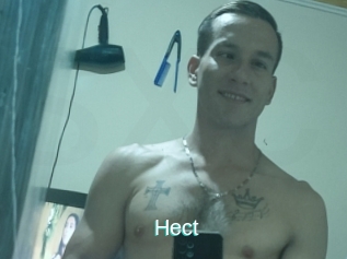 Hect