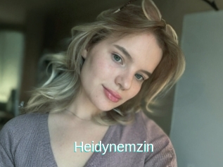 Heidynemzin