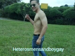 Heterosmensandboygay