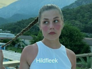 Hildfleek