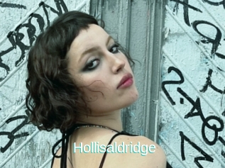 Hollisaldridge