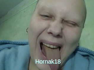 Hornak18