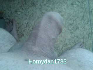 Hornydan1733