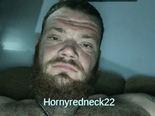 Hornyredneck22