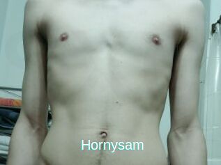Hornysam
