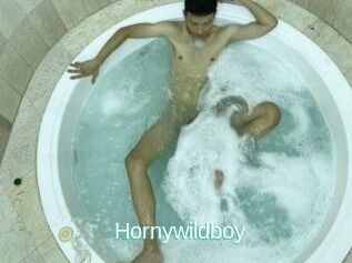 Hornywildboy