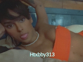 Htxbby313