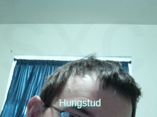 Hungstud