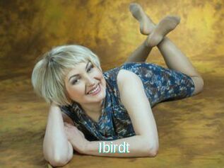 Ibirdt