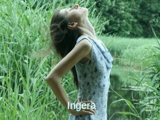 Ingera