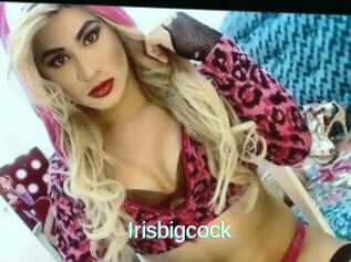 Irisbigcock