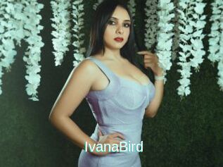 IvanaBird