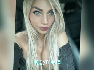 Iggymodel