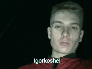 Igorkoshel