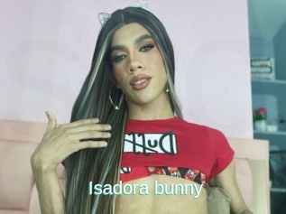 Isadora_bunny
