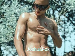 JoshuaFox