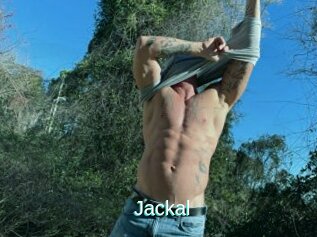 Jackal