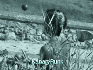 KanaryPunk
