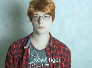 KevinTiger