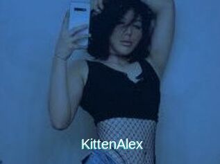 KittenAlex