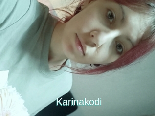 Karinakodi