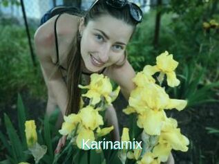 Karinamix
