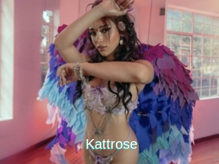 Kattrose