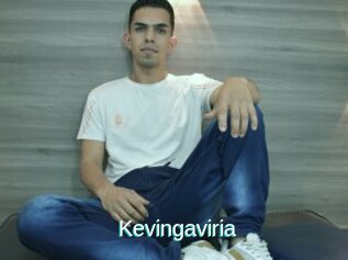 Kevingaviria