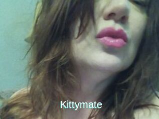 Kittymate