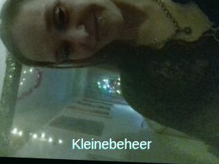 Kleinebeheer