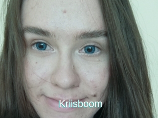 Kriisboom