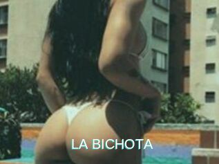 LA_BICHOTA