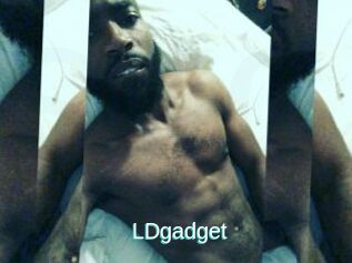 LDgadget