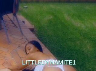 LITTLEDYNAMITE1