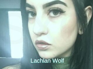 Lachlan_Wolf