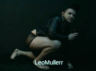 LeoMullerr