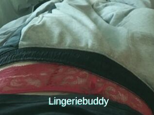 Lingeriebuddy
