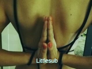 Littlesub