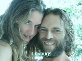 Luvbugs