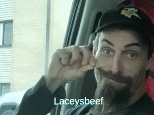 Laceysbeef