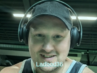 Ladbod36