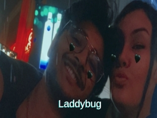 Laddybug