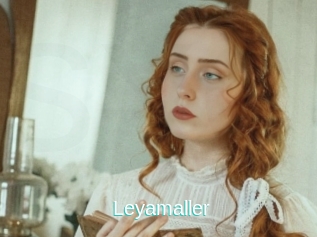 Leyamaller