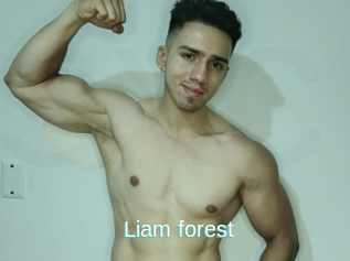 Liam_forest