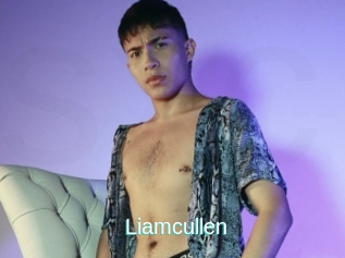 Liamcullen
