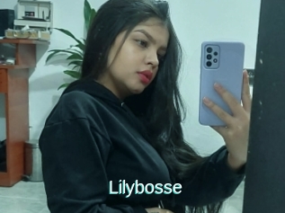 Lilybosse